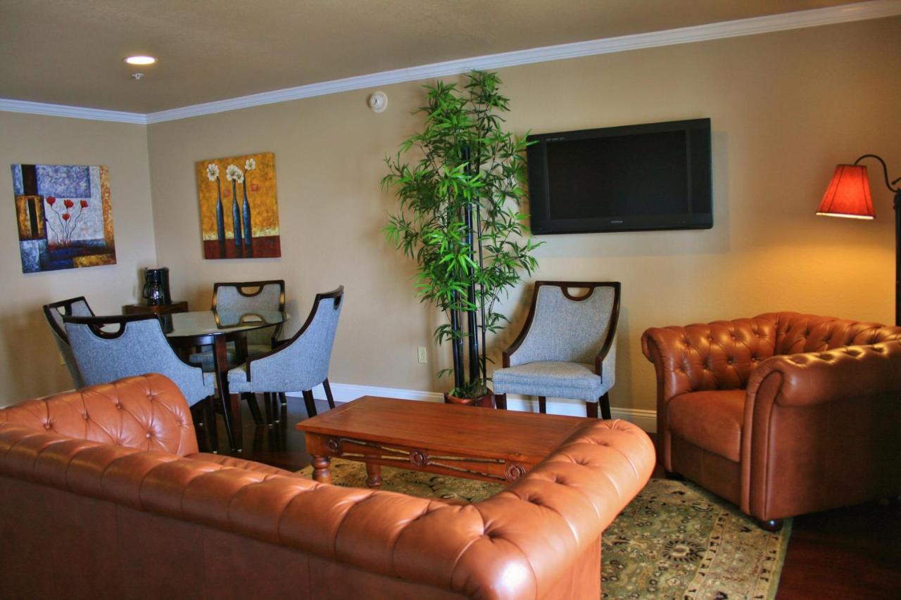 ناجز هيد Oasis Suites Hotel المظهر الخارجي الصورة